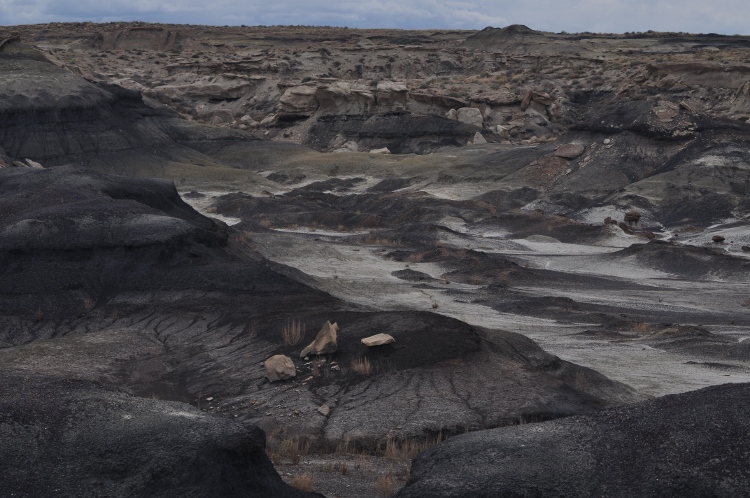 bisti wilderness